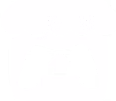 Store Icon